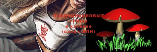 стафф Гусев