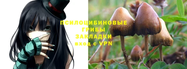 2c-b Гусь-Хрустальный