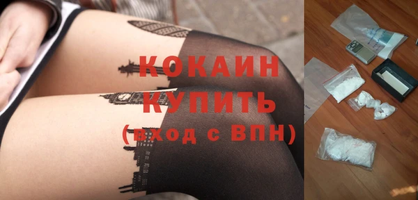 стафф Гусев