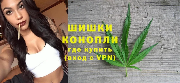 винт Дмитриев