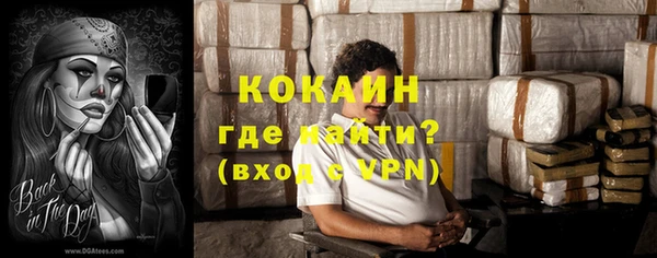 стафф Гусев