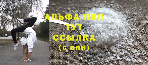 стафф Гусев