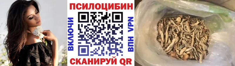Псилоцибиновые грибы прущие грибы  Купить закладки  Павловск 